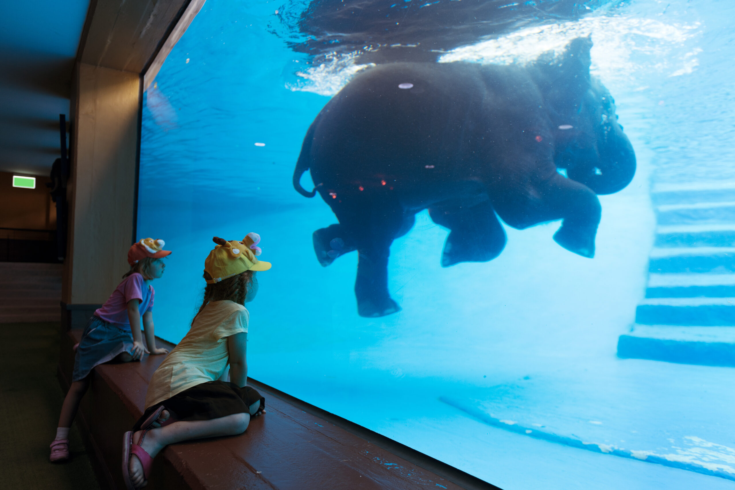 Aquarium