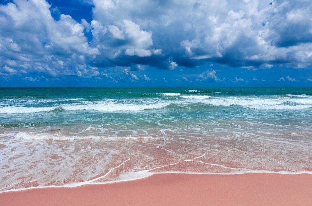 pink beach